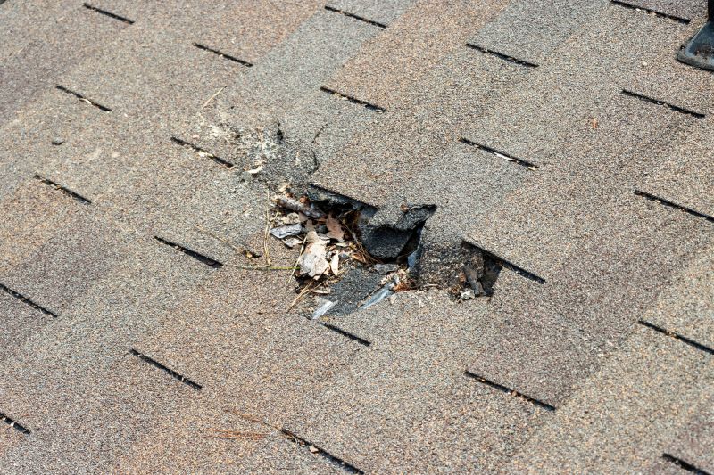 Damaged Roof Replacement in Cincinnati, OH