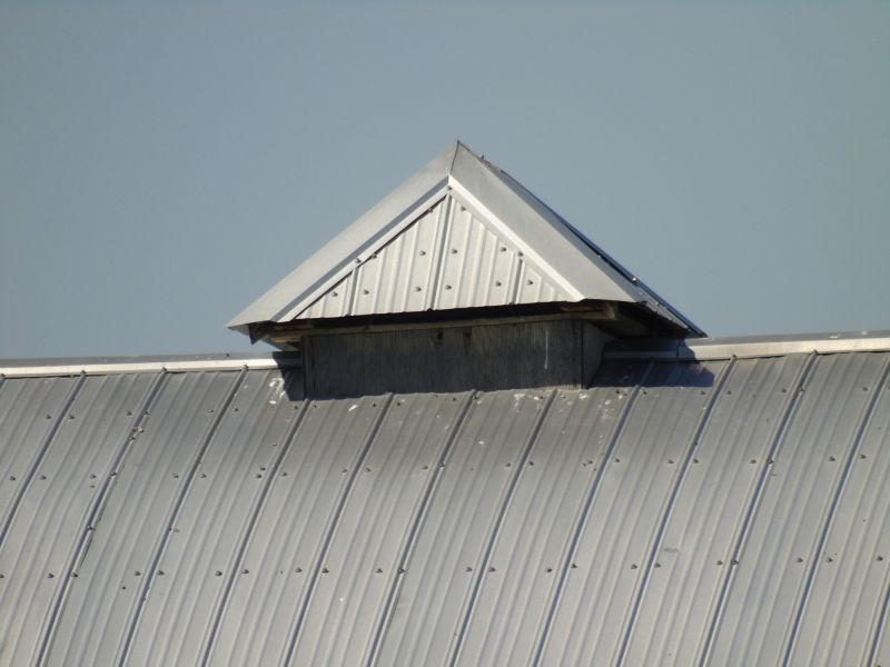 Tin Roof Installation in Latonia, KY